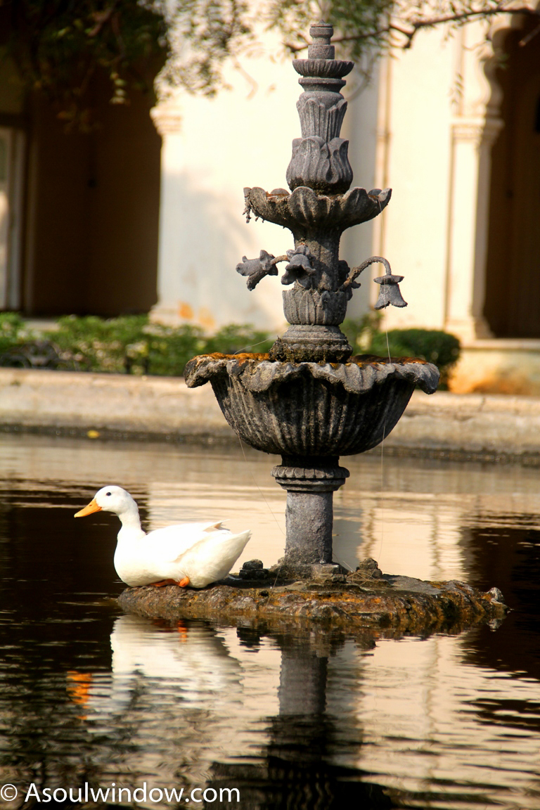 chowmahalla-palace-pond