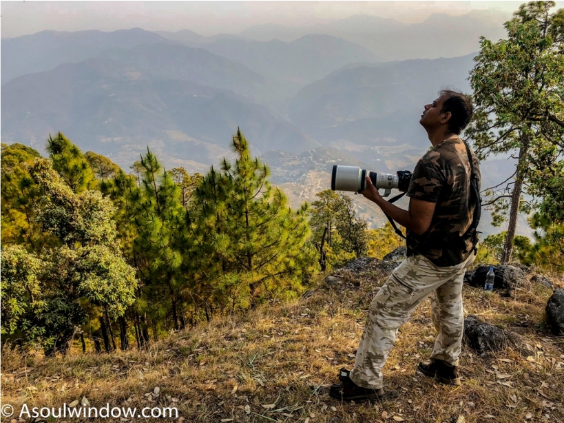 Anant Rasa, Shitlakhet, Uttarakhand Birdwatching (2)