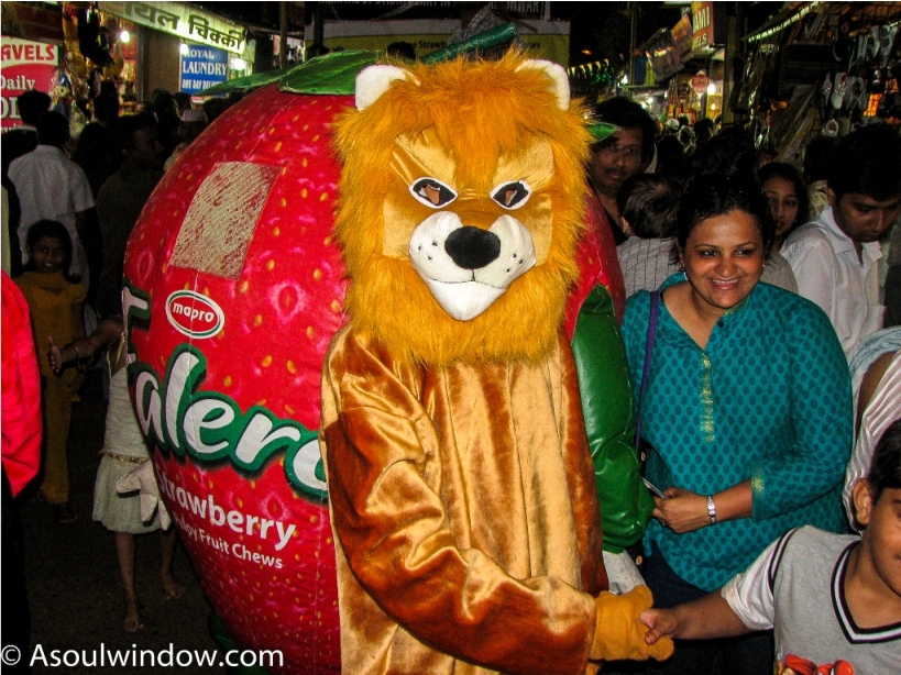 Mapro Strawberry festival Mahabaleshwar Maharashtra India