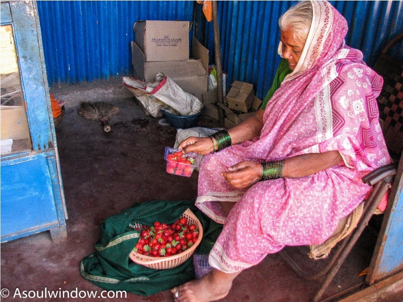 Strawberry Mahabaleshwar Maharashtra India