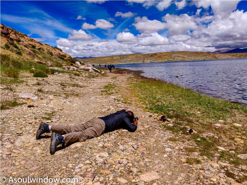 Mansarovar Lake Tibet