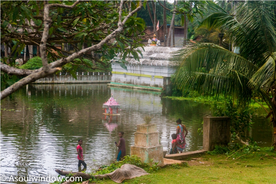 Raghurajpur Heritage Village Pattachitra Puri Odisha (9)