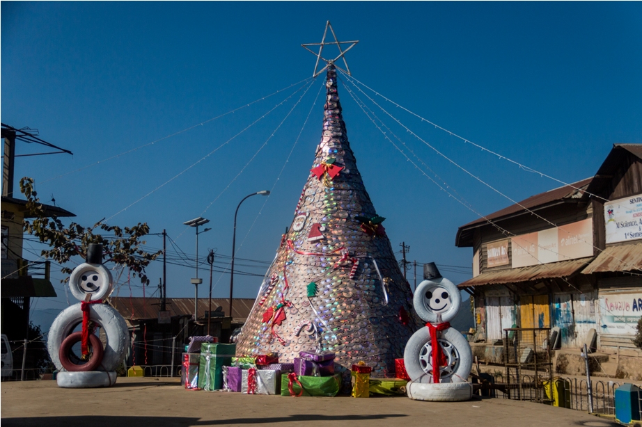 Christmas Tree Ukhrul Manipur North East India (2)