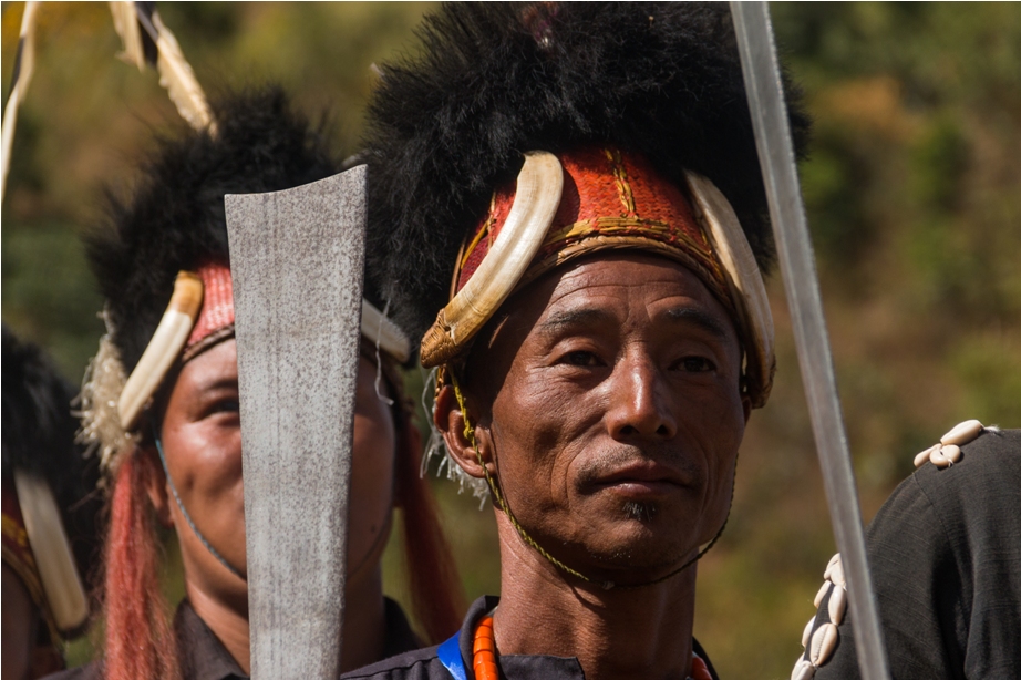 Hornbill festival Nagaland India tribes (2)