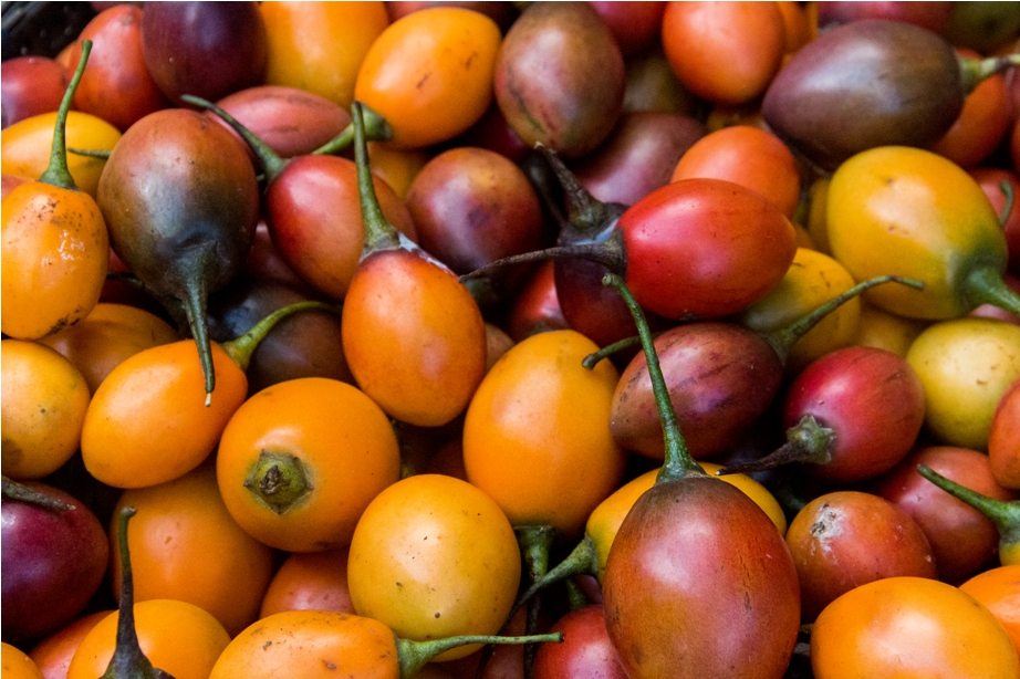 Tomatoes of Nagaland India