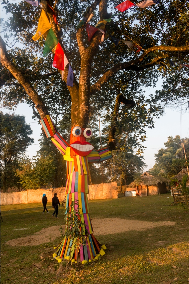 Tree Orange music festival Dambuk Arunachal Pradesh India