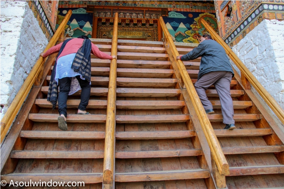 punakha dzong dochula pass near paro thimphu offbeat bhutan (16)