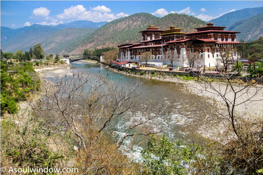 punakha dzong dochula pass near paro thimphu offbeat bhutan (9)