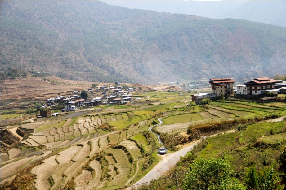 rice terrace punakha dzong dochula pass near paro thimphu offbeat bhutan (8)