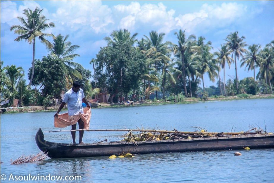 Alleppey Alappuzha. Vembanad lake Backwaters Kerala India (5)