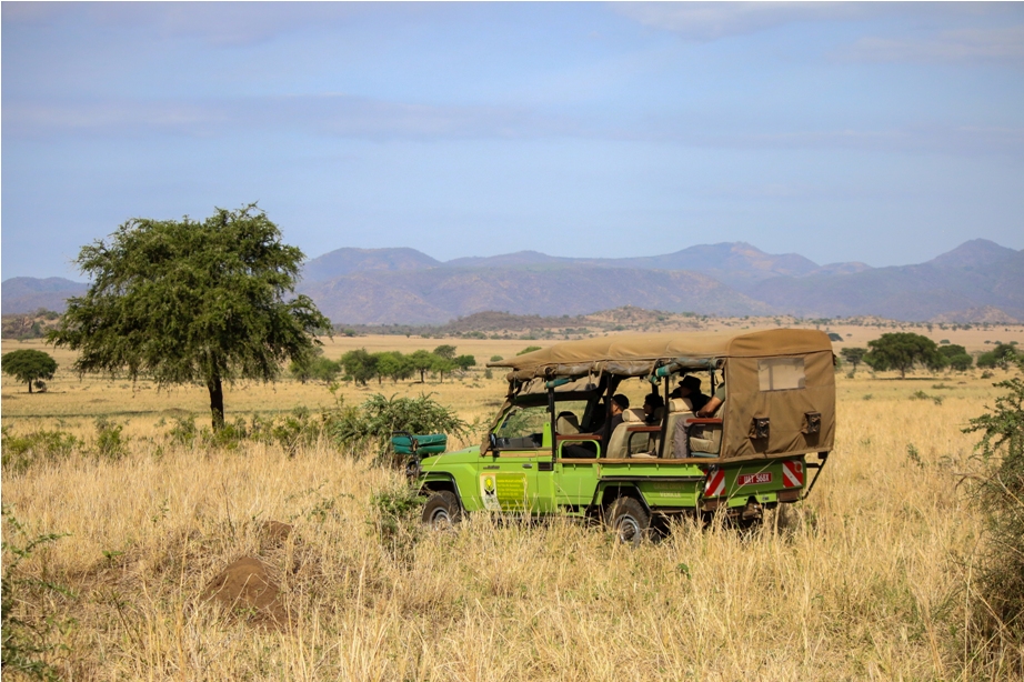 Kidepo National Park Jeep Uganda Africa (3)