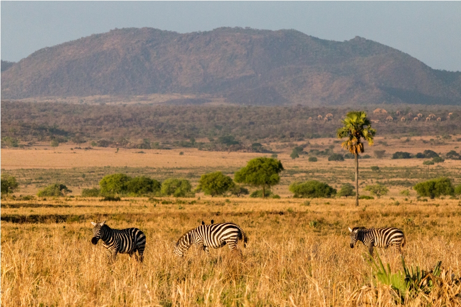 Kidepo National Park Uganda Africa (39)