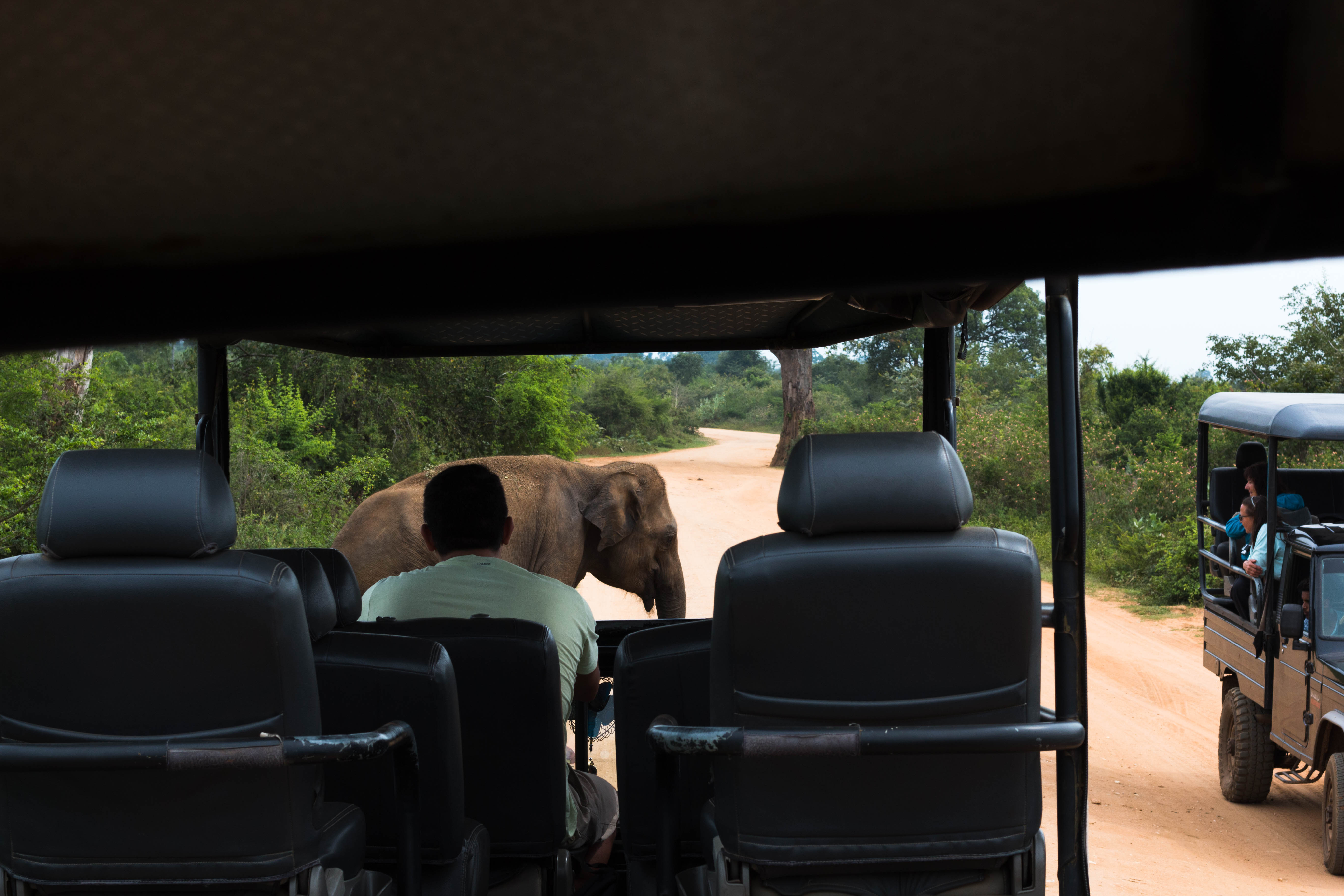 Udawalawe National Park Sri Lanka Jeep Safari elephant
