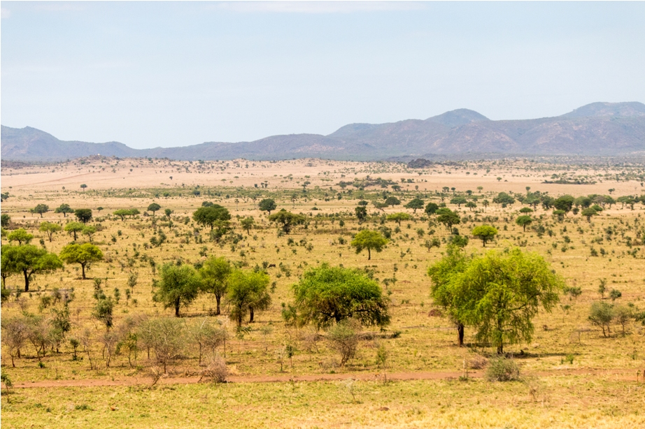 Landscape Kidepo National Park Uganda Africa (31)