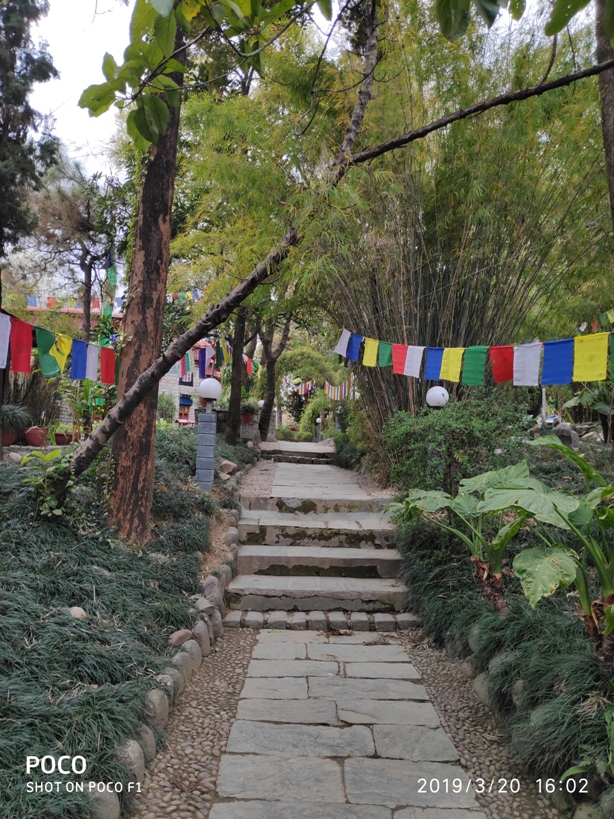 Namgyal Monastery Mcleodganj Dharamsala Himachal Pradesh India (2)