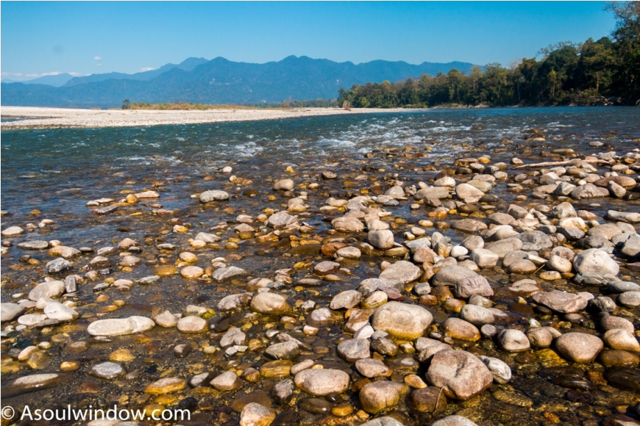 River Landscape Manas National Park Bodoland Assam India (15)