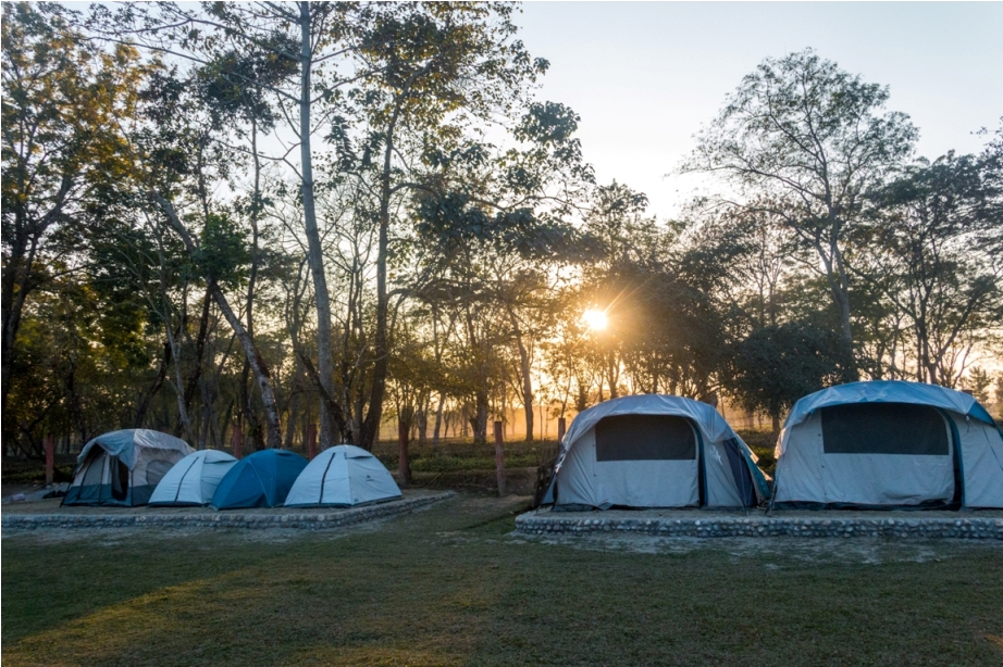 Tent Hotel Manas National Park Bodoland Assam India (13)