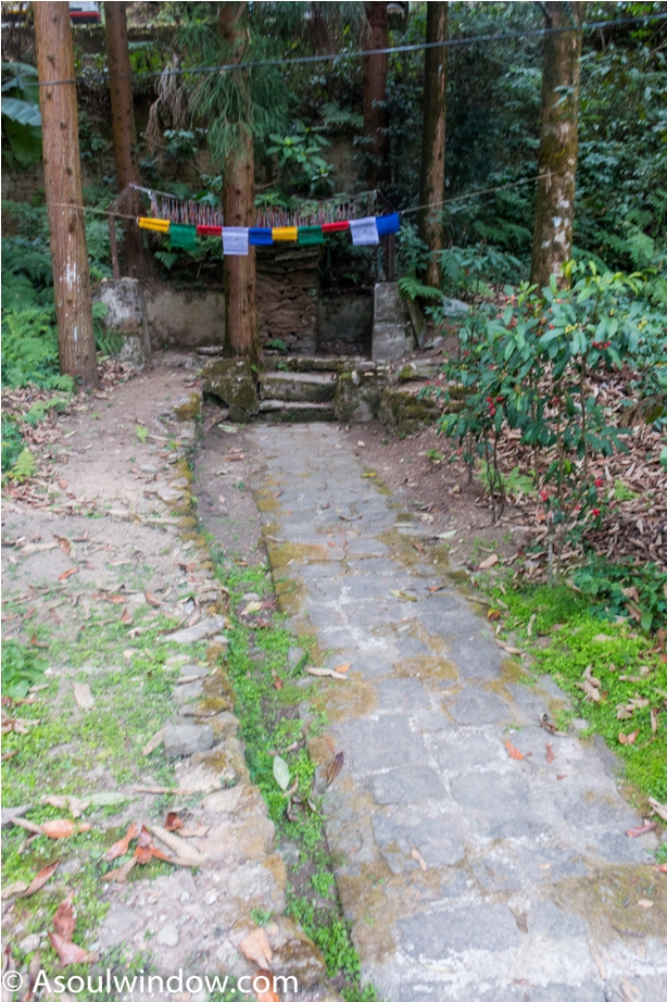 TSHO NAM CHU Rabdentse site Pelling West Sikkim (22)
