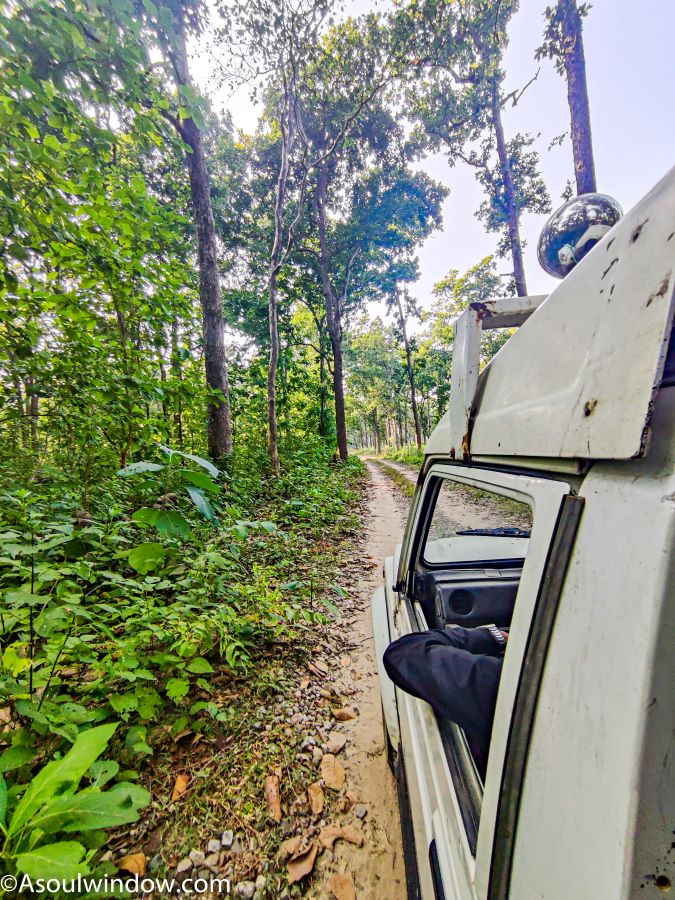 Jeep Safari in forest of Nandhaur Wildlife Sanctuary Uttarakhand. Near Kakraali gate of Tanakpur. 