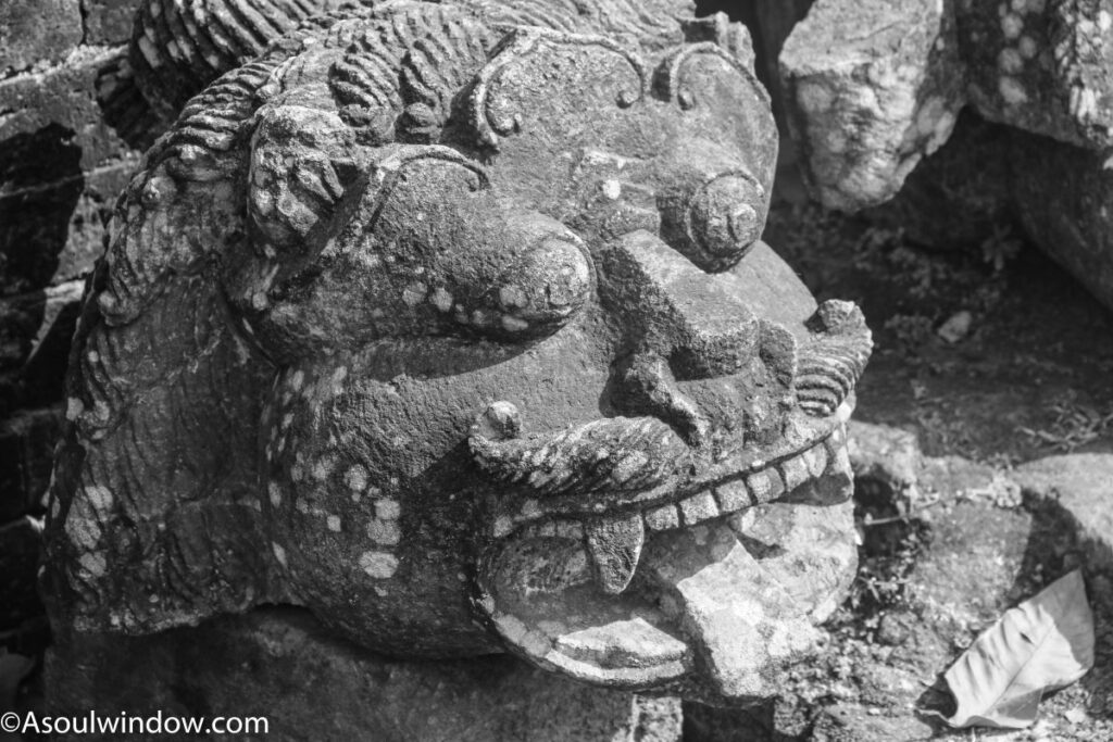 Lion head Ratnagiri Monastery Buddhist Jajpur Odisha