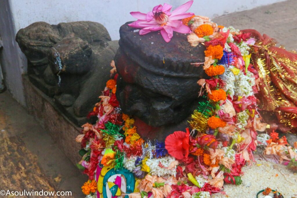 Nandi Maa Biraja Devi Mandir Shaktipeeth Jajpur Odisha