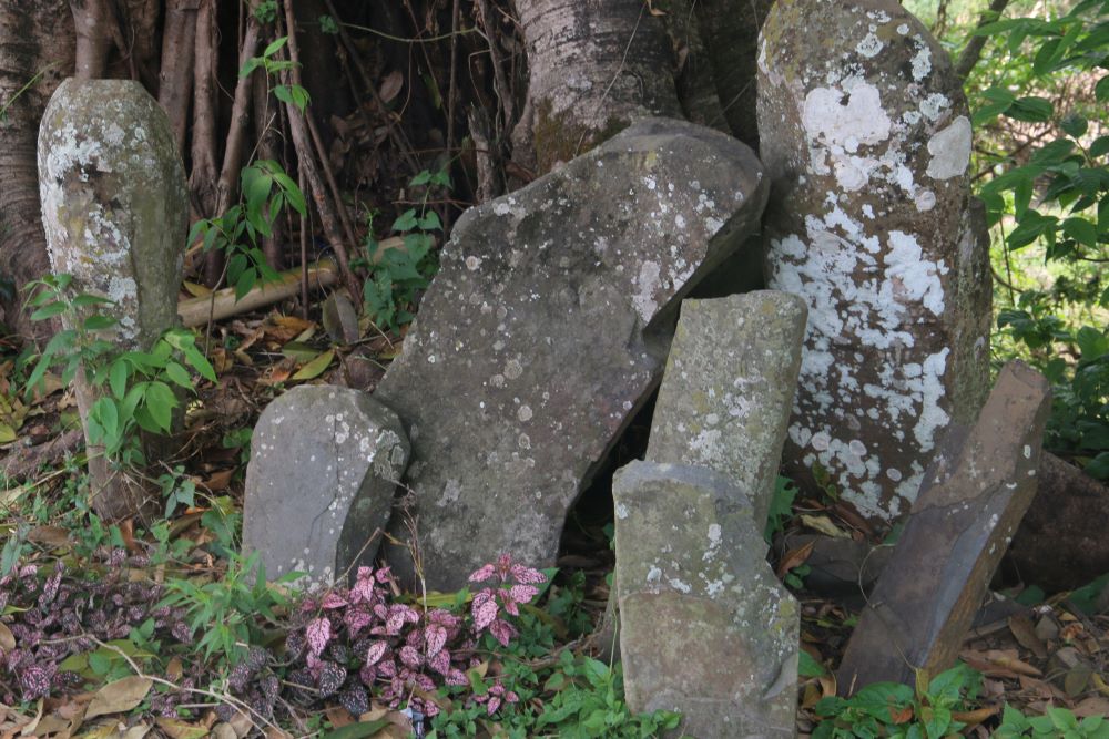 Mysterious stone idols I saw outside the home of King of Laho near Khonsa, Arunachal Pradesh