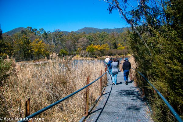 Tidbinbilla Nature Reserve Walking trail Canberra South Australia