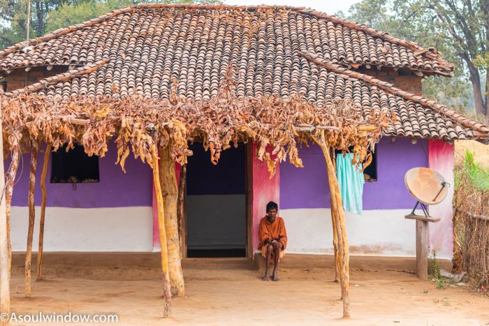 Tribal home. Pachdhar Gond village near Turia gate of Pench National Park